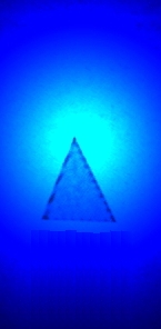 The Buddha-Experience